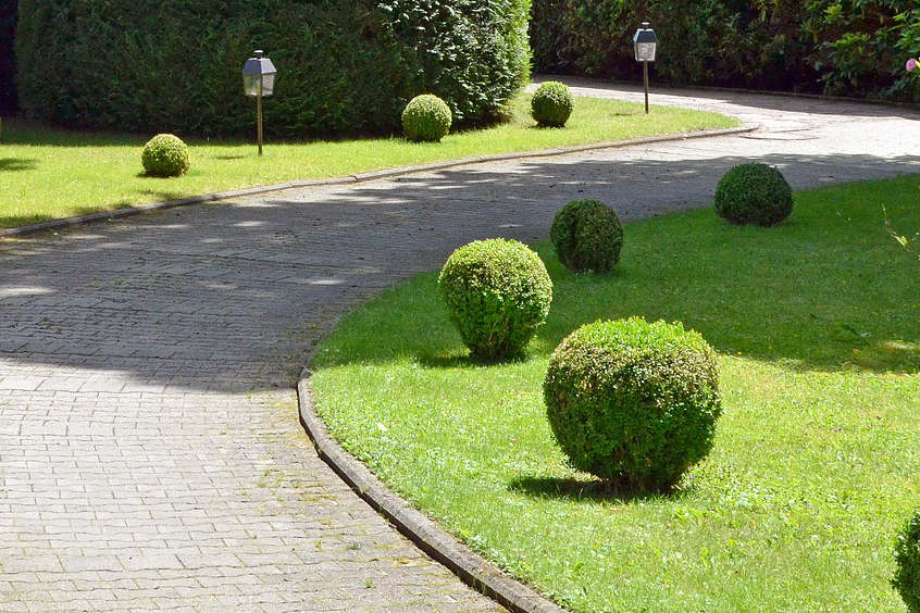 Grundstück Schenkung Steuern Pflege