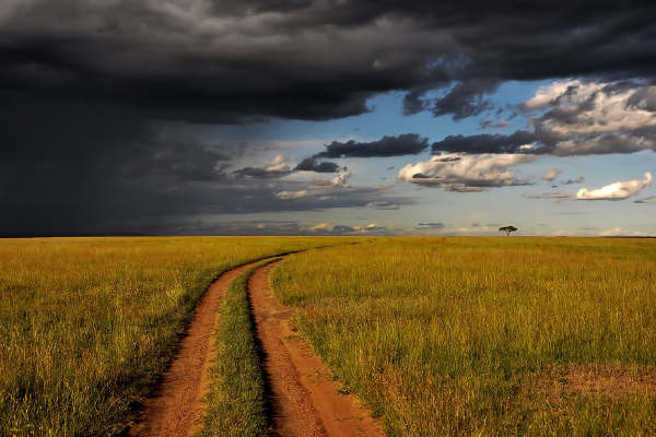 Auslandswohnsitz Kenia