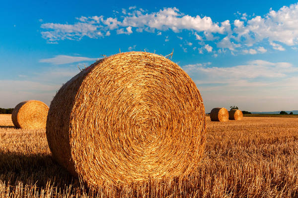 Besteuerung Durchschnittssatz Landwirtschaft